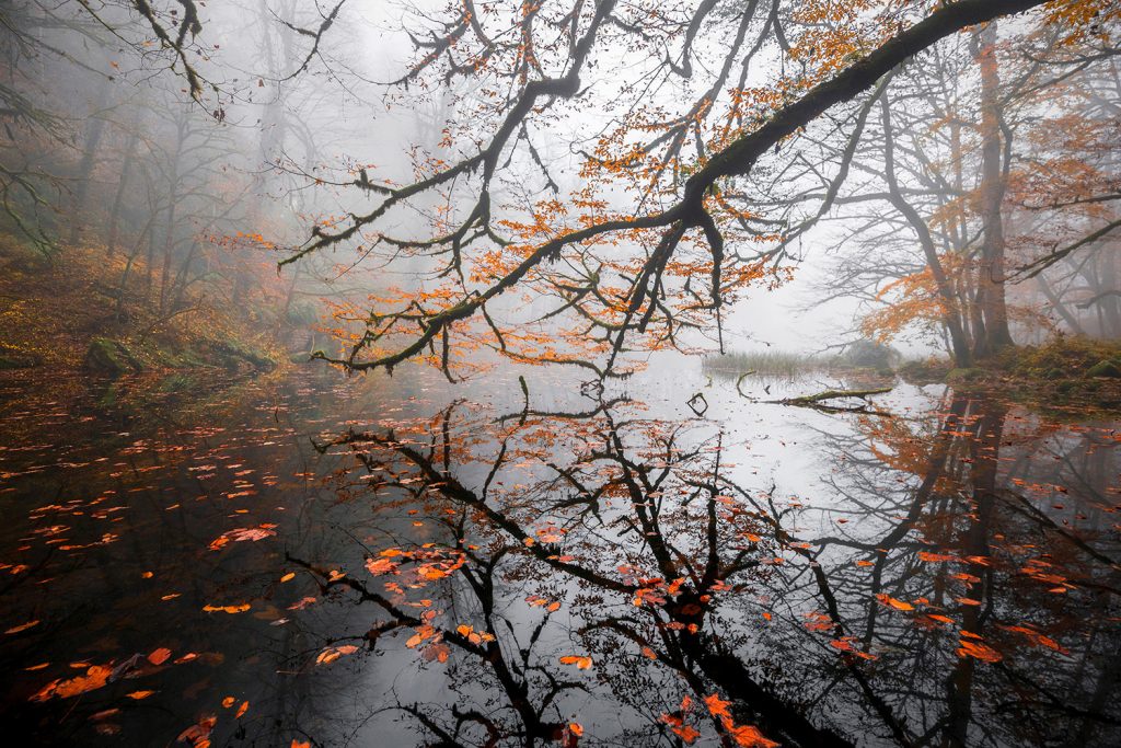 Autumn reflection