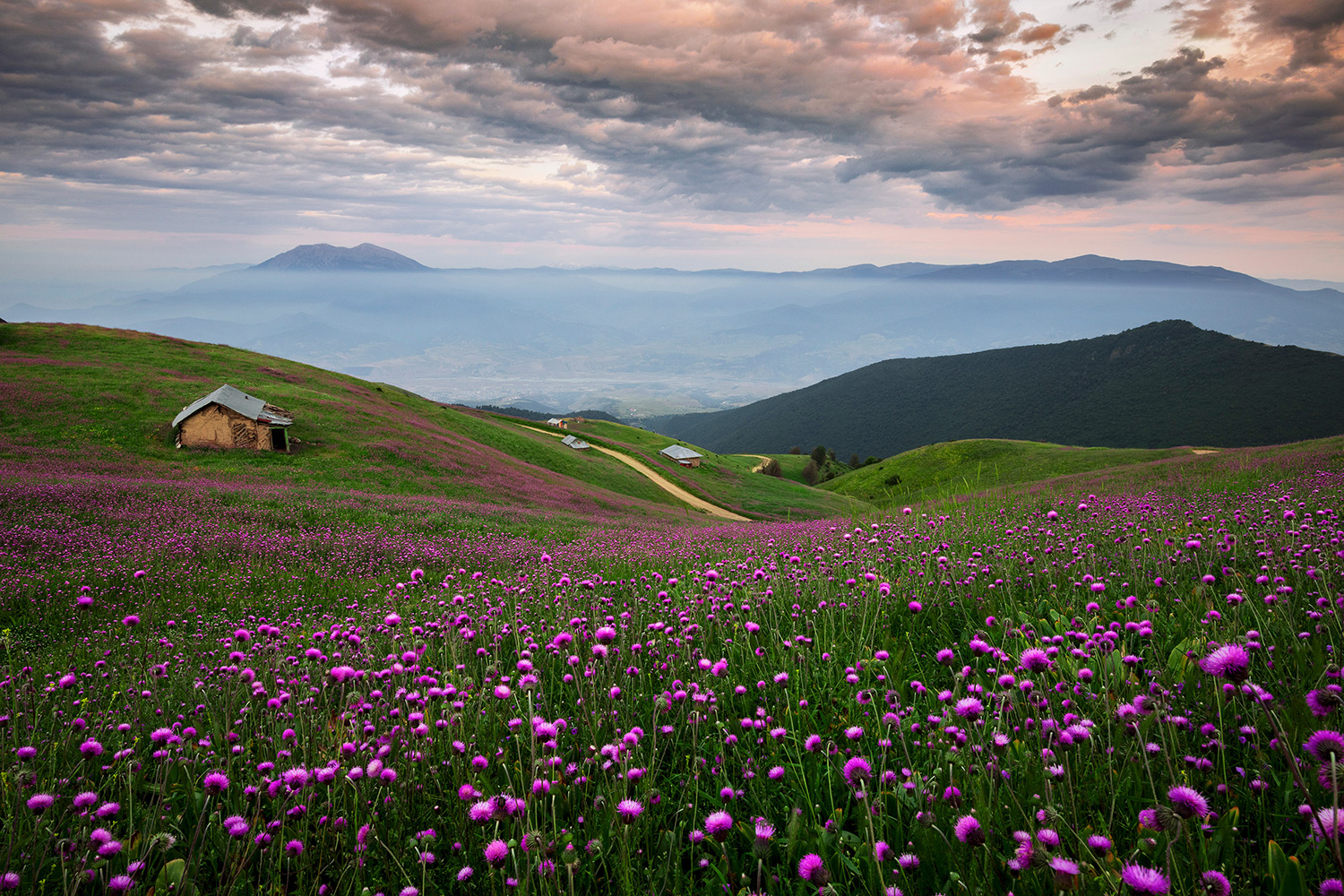 The smell of spring