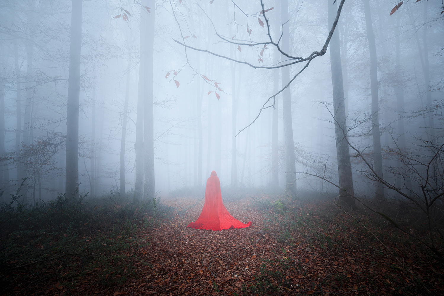 Red Riding Hood