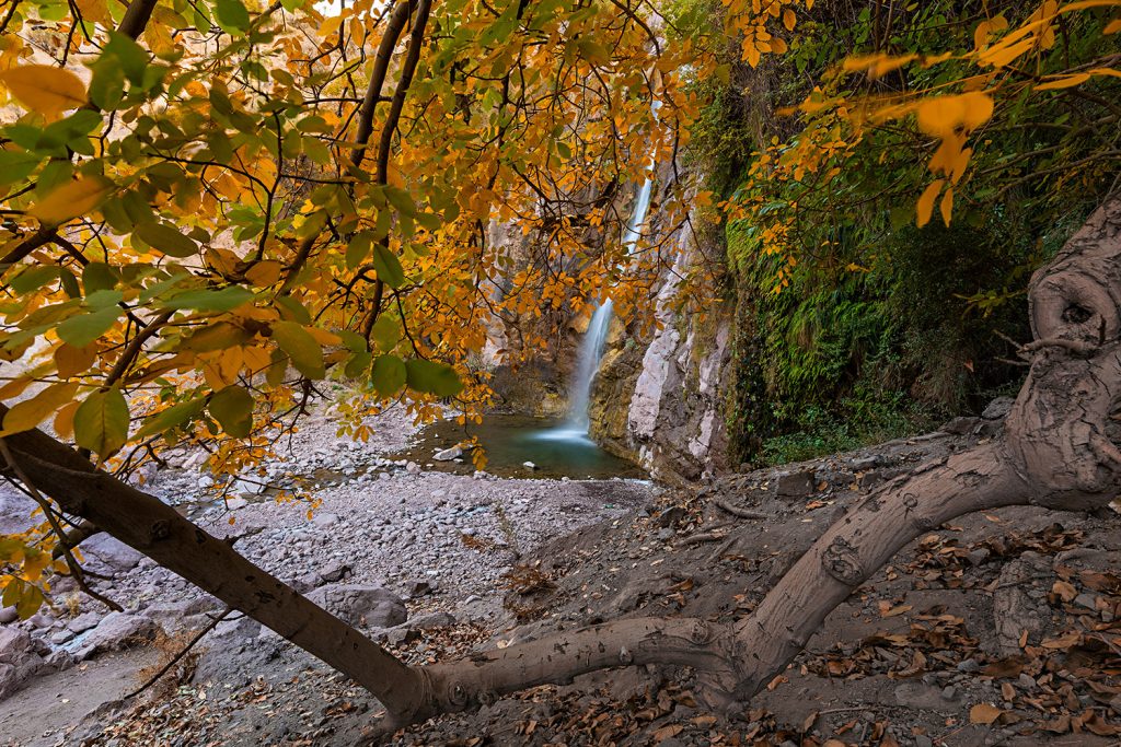 Waterfall and autumn leaves