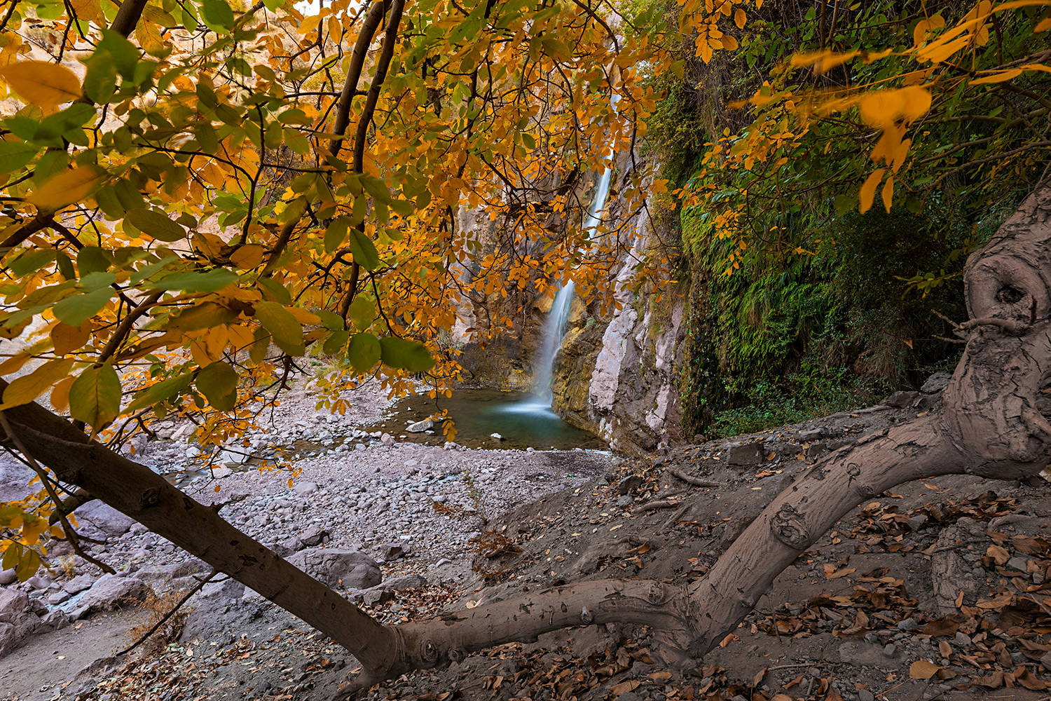 Waterfall and autumn leaves