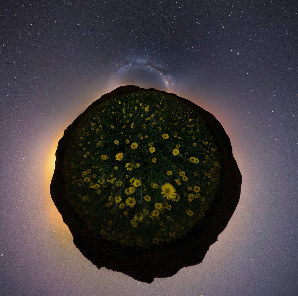 360 degree view of the sunflower field and the sky