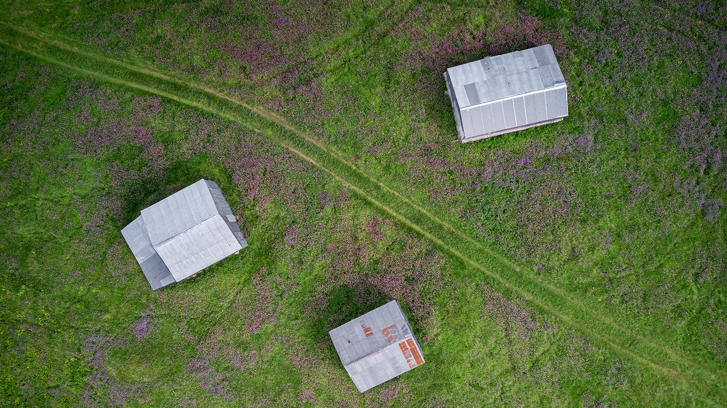 Cottages