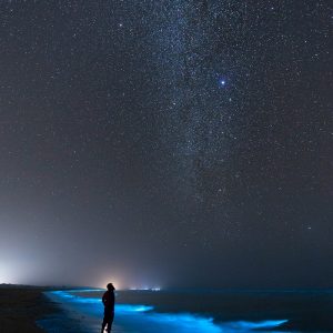 Selfie with the glow of phytoplankton