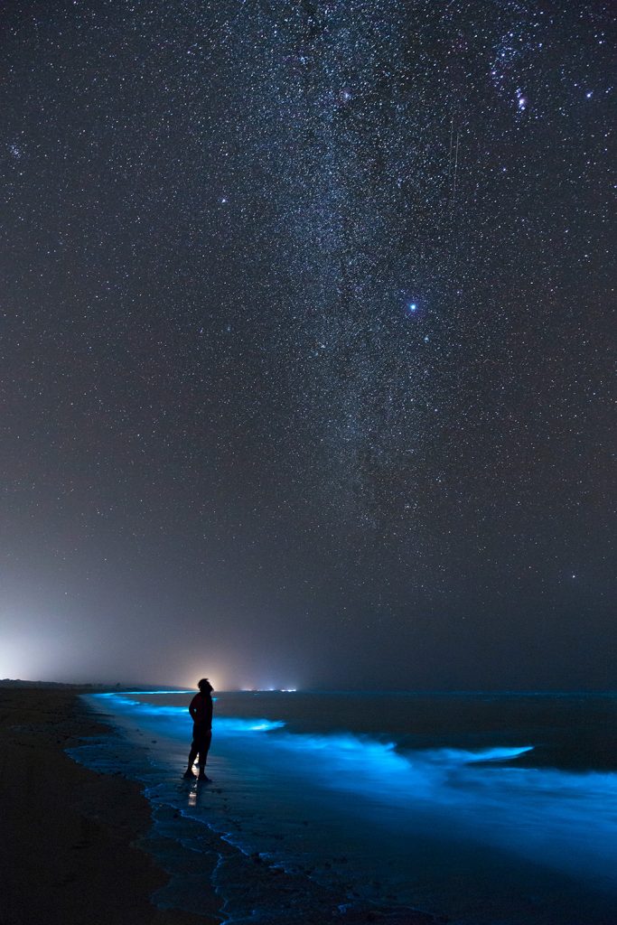 Selfie with the glow of phytoplankton