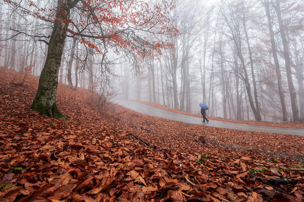 Walking Under The Rain