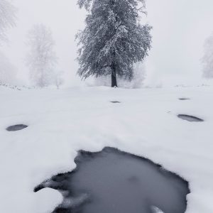 cold winter