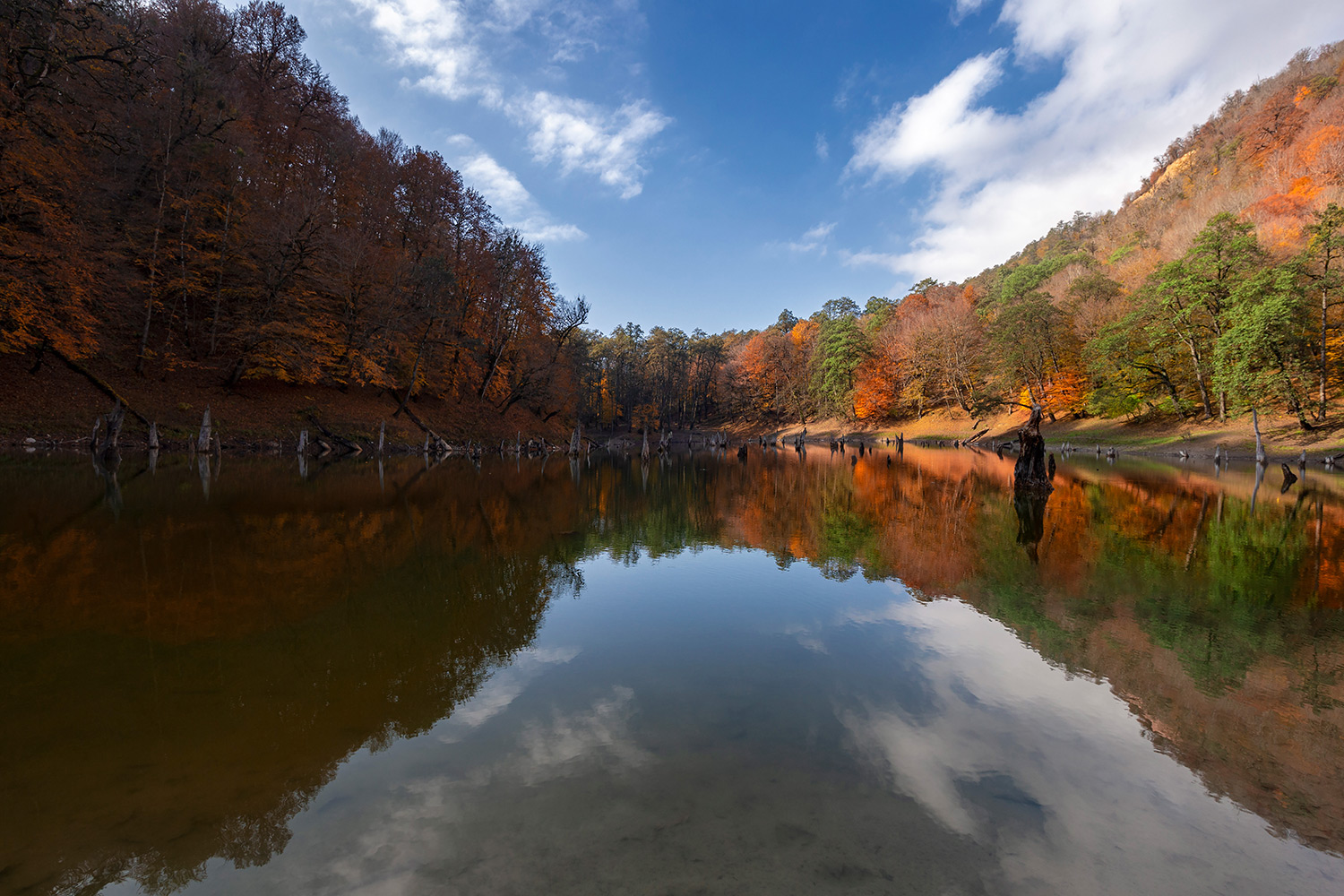 Autumn Lake