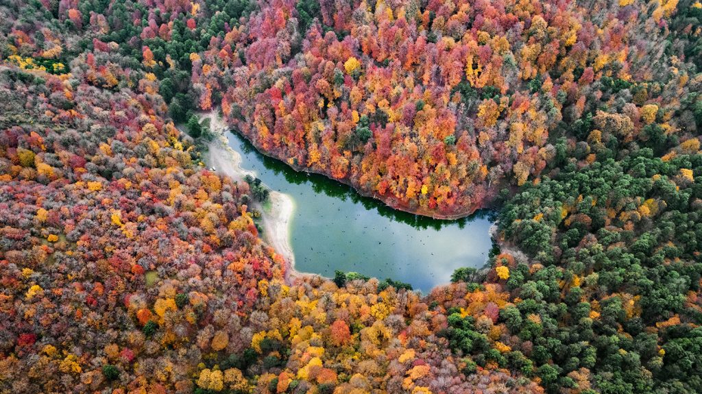 A lake in the heart of the forest