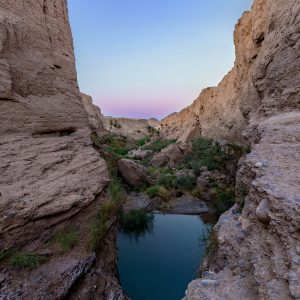 Watery valley in the heart of the desert