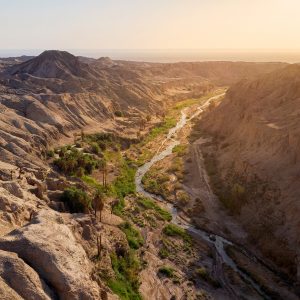 A river in the heart of the desert