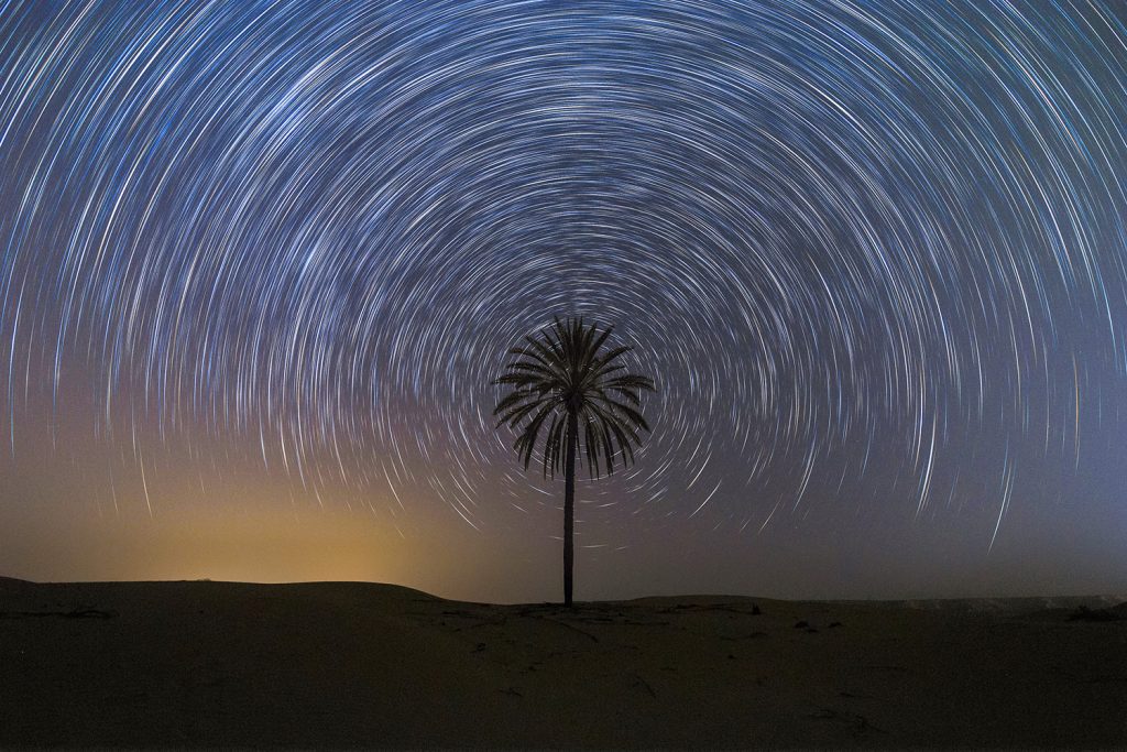 Palm and the rotation of the stars