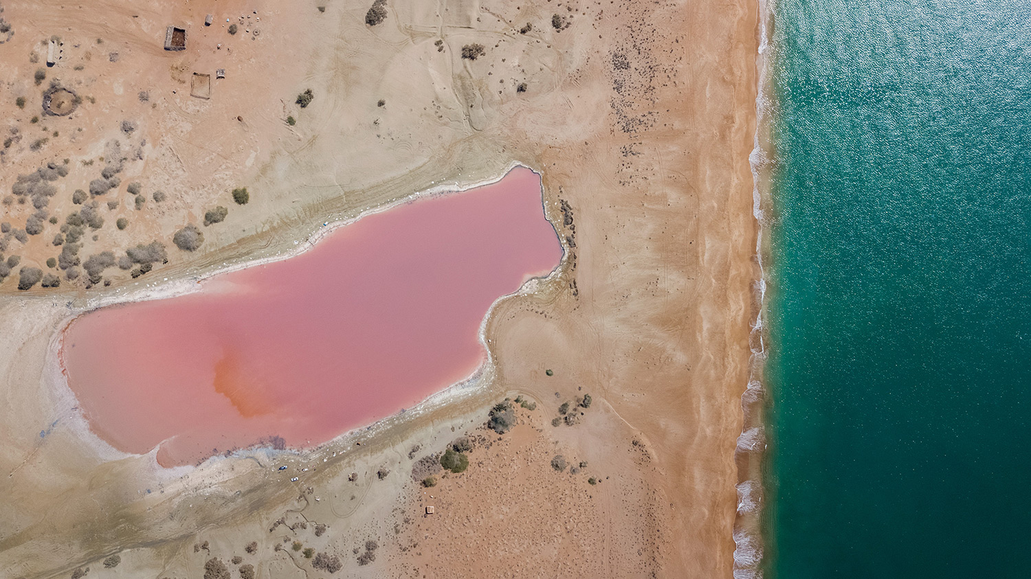 Pink Wetland