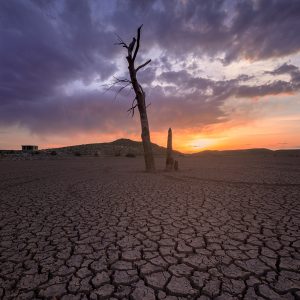 Drought