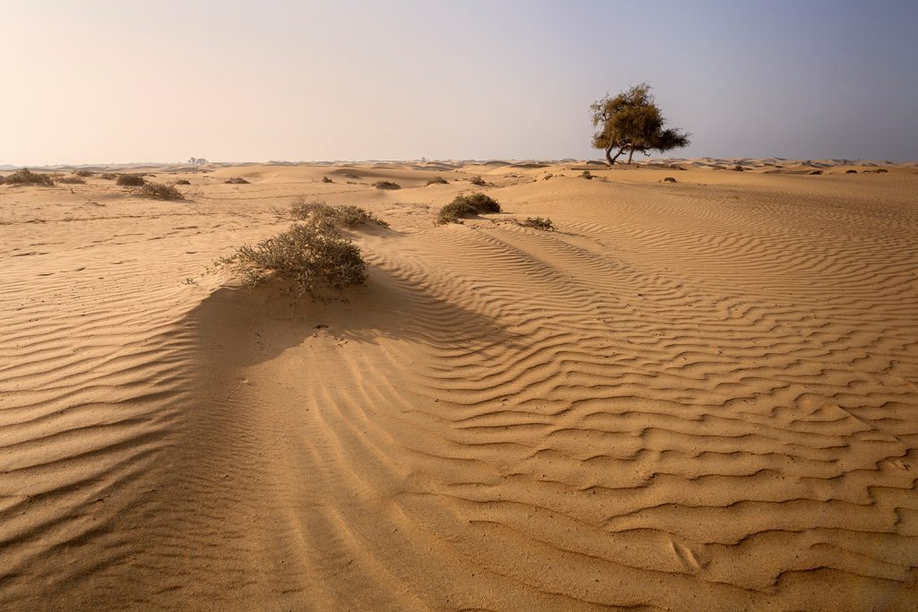 Sand Desert