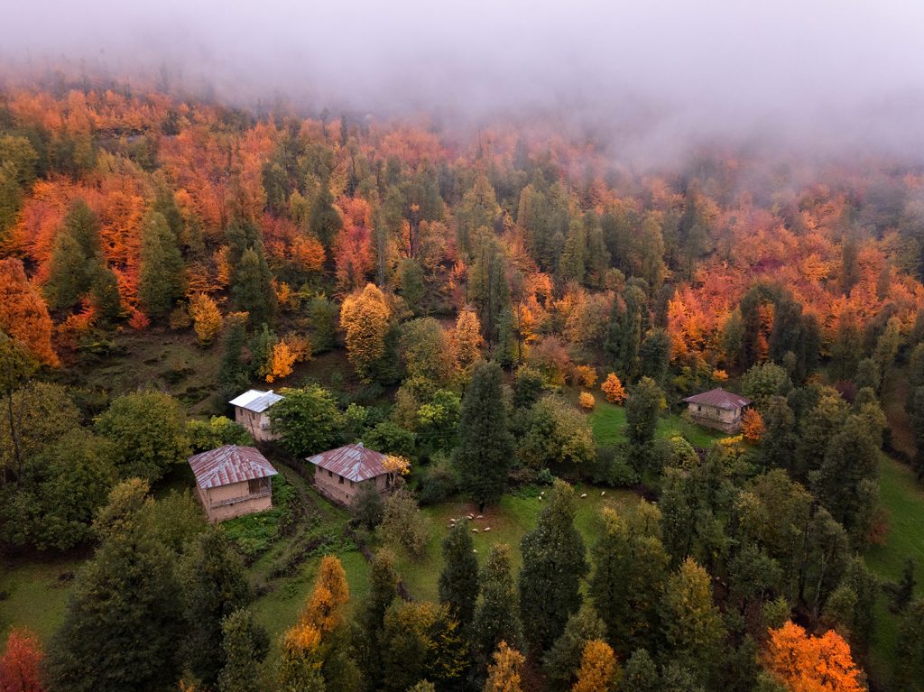 Dream cottages