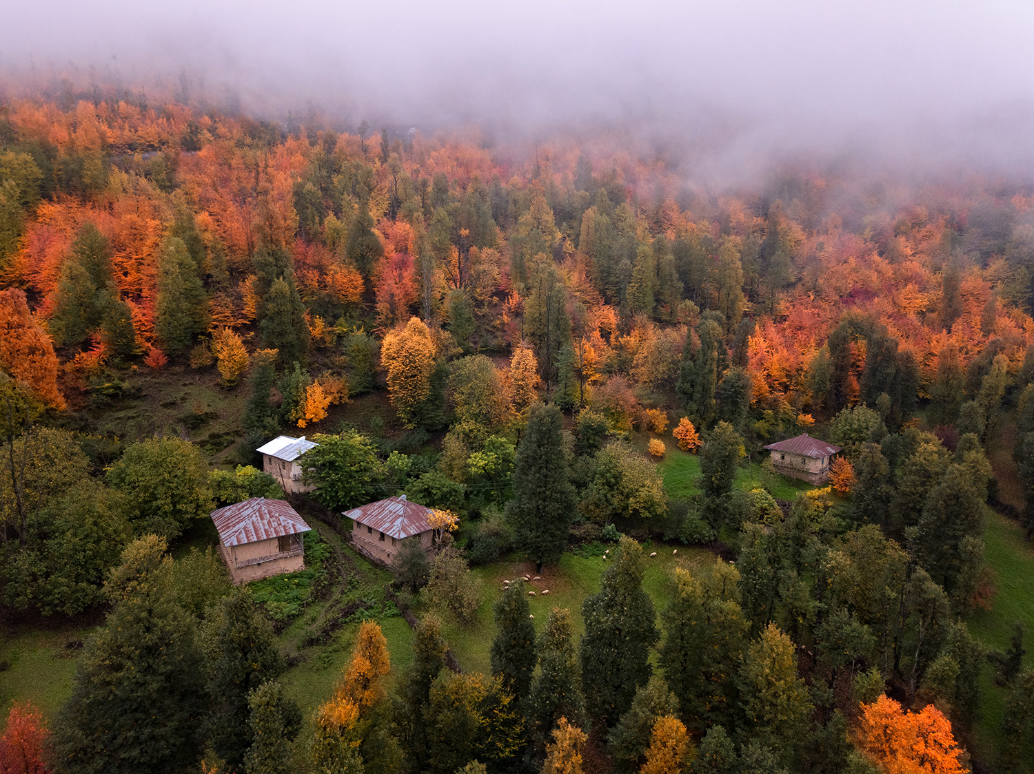 Dream cottages