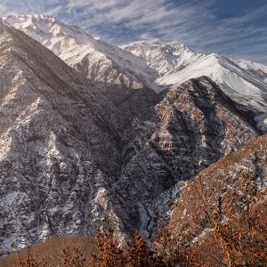 winter