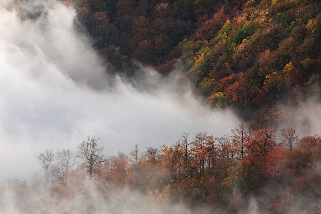 cloud dance