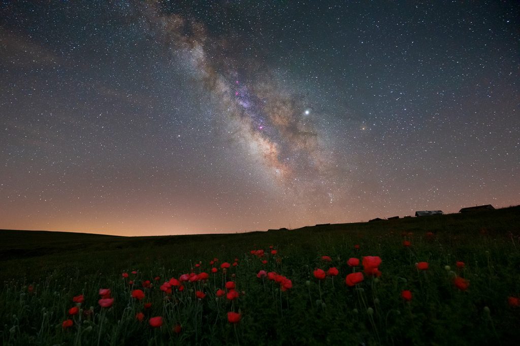 Starry spring