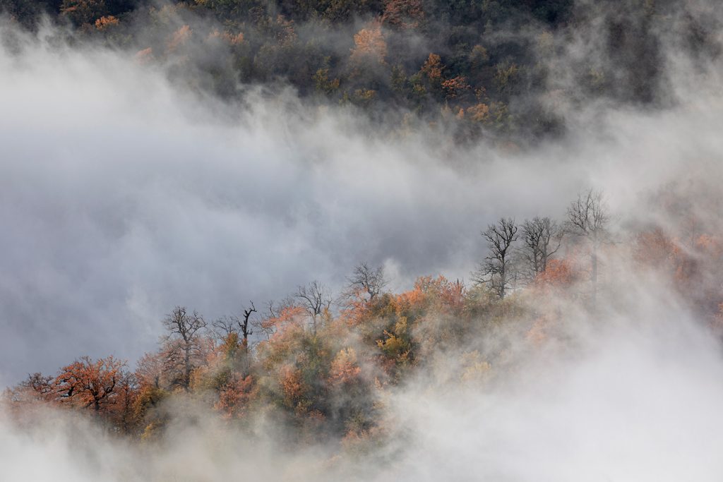 Autumn frame