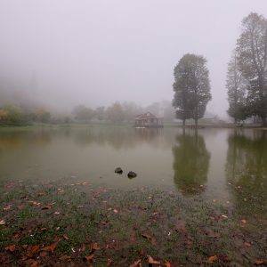 Wetland