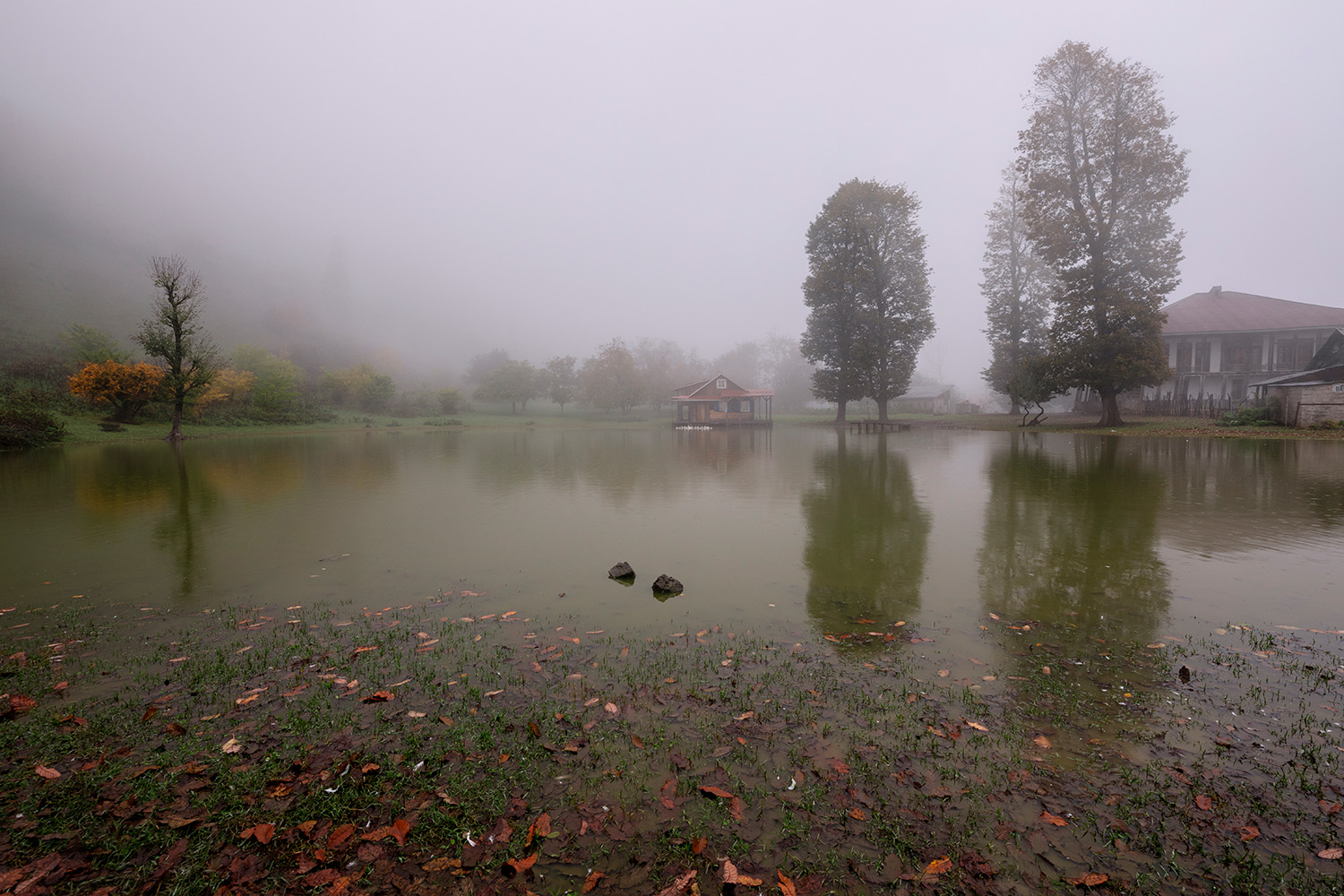 Wetland