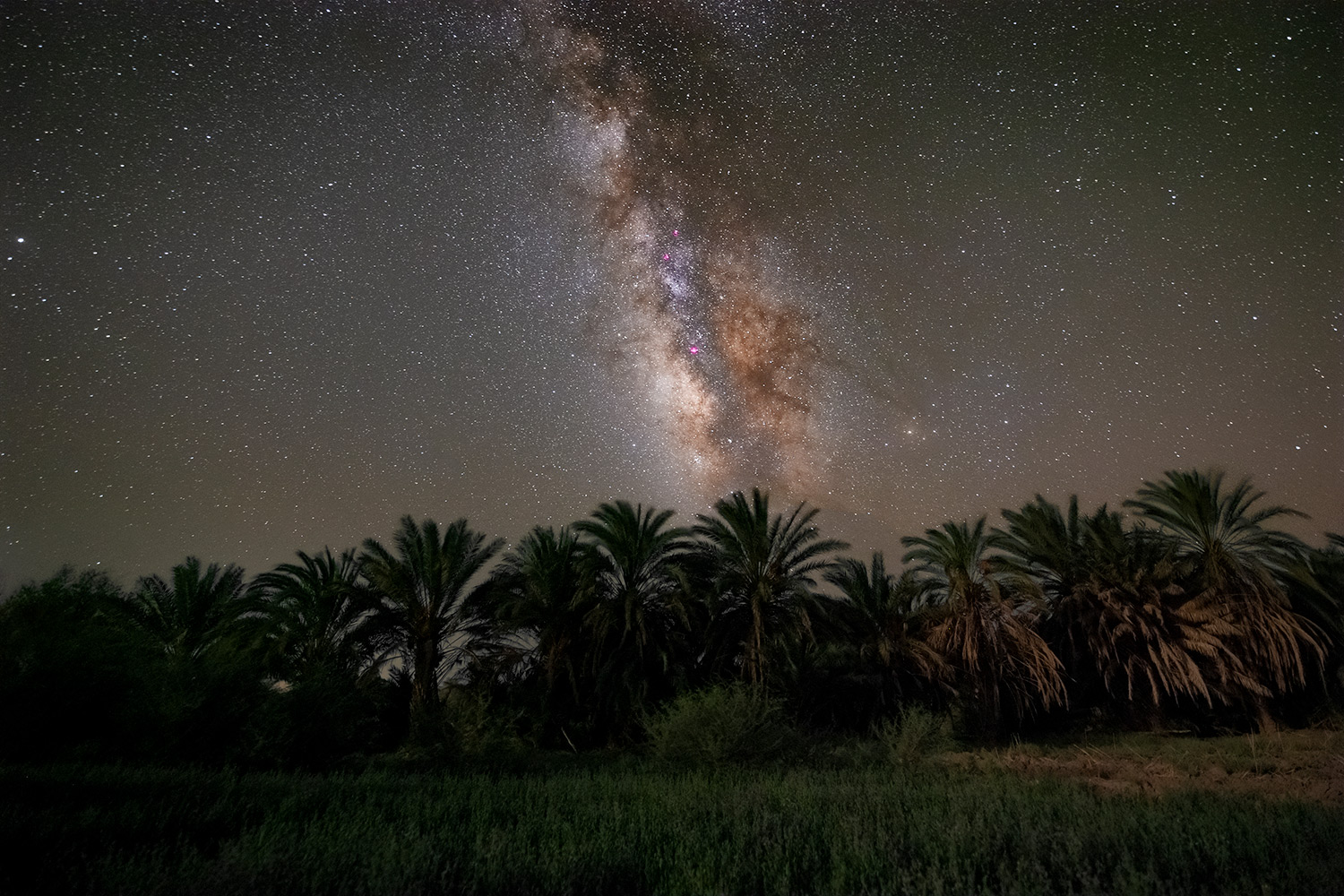 Desert Sky