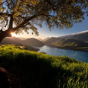 beautiful life