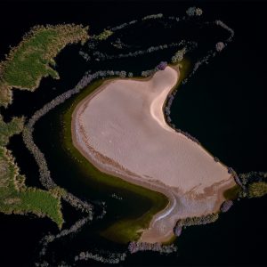 Island in the desert