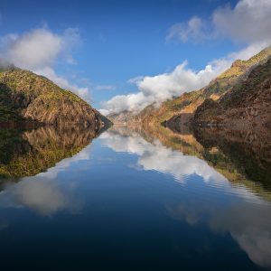 reflection