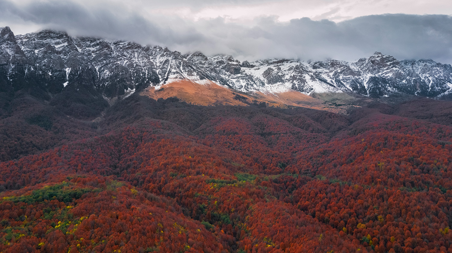 Mountain and forest border