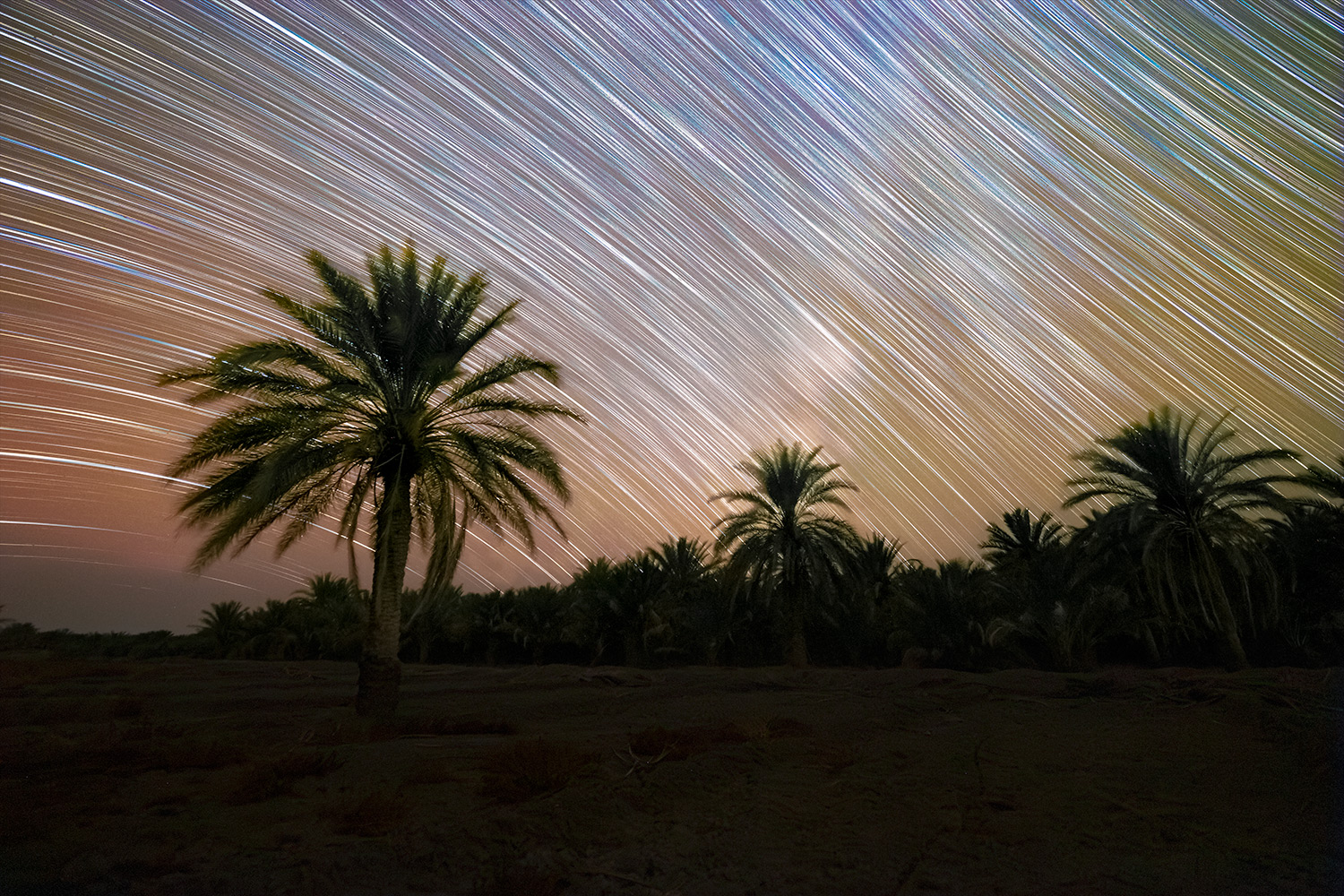 Desert Sky