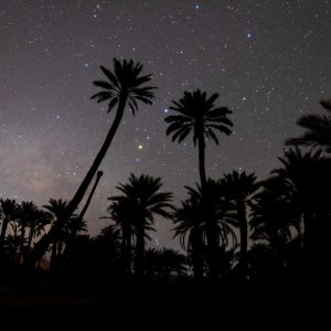 Dawn of the Galaxy