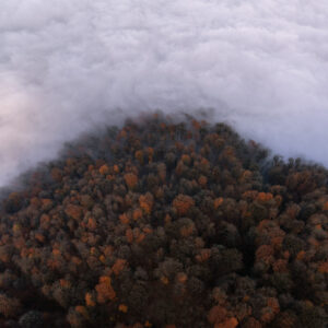 Cloud invasion