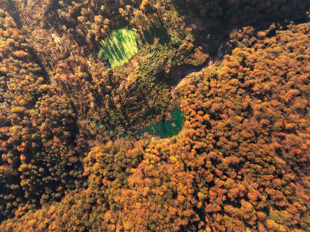 Land subsidence