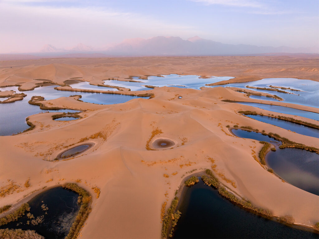 Desert