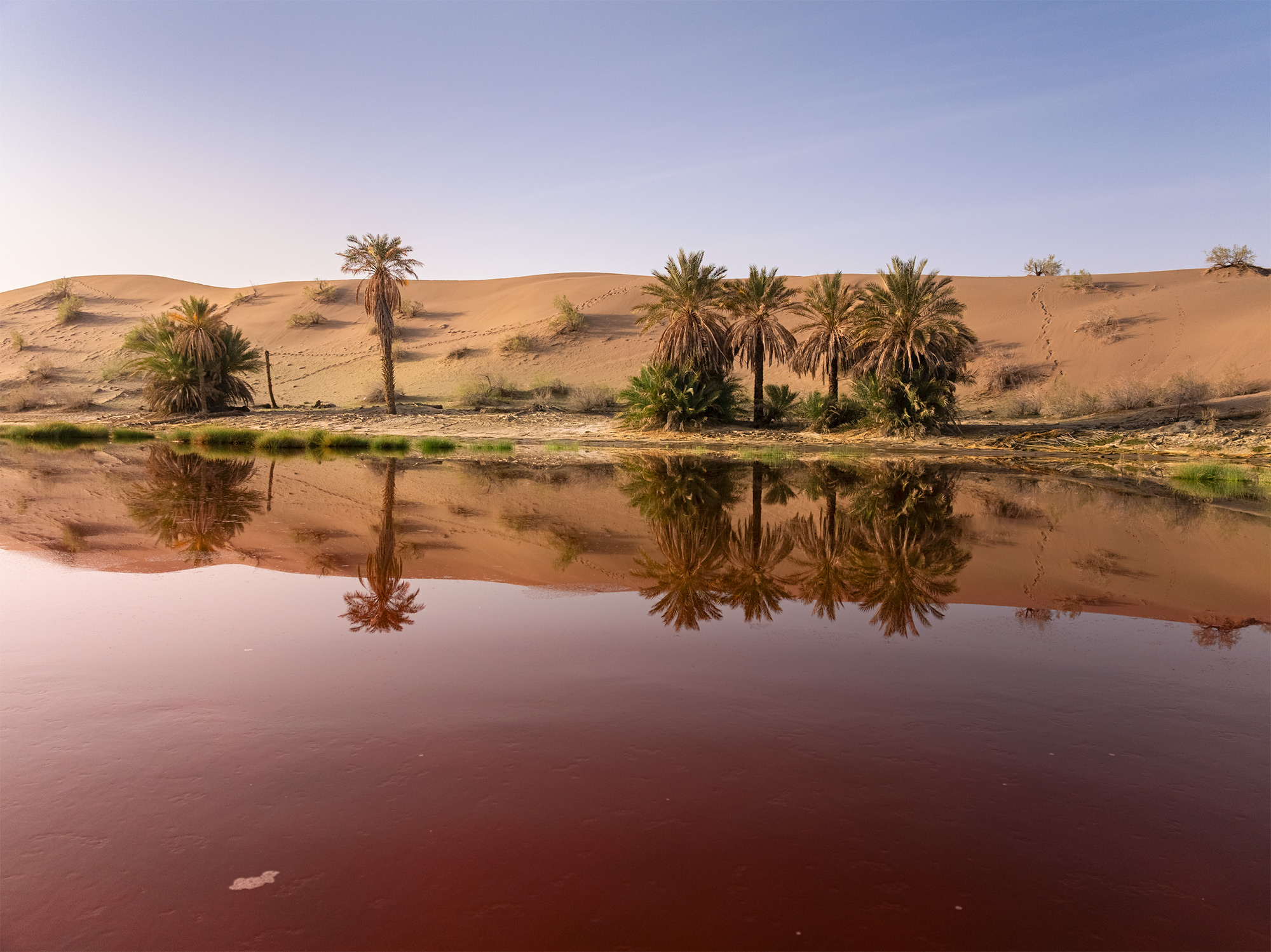 Jazmurian Wetland