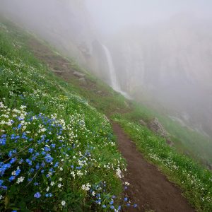 beautiful spring