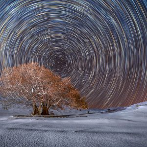 Winter cold and snow