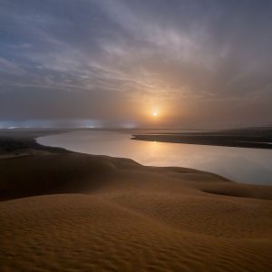 Watching the moonlight