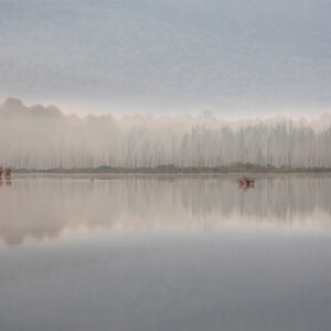 Alandan Lake