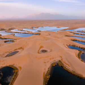 Desert