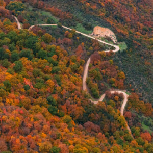Road