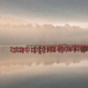 Morning fog