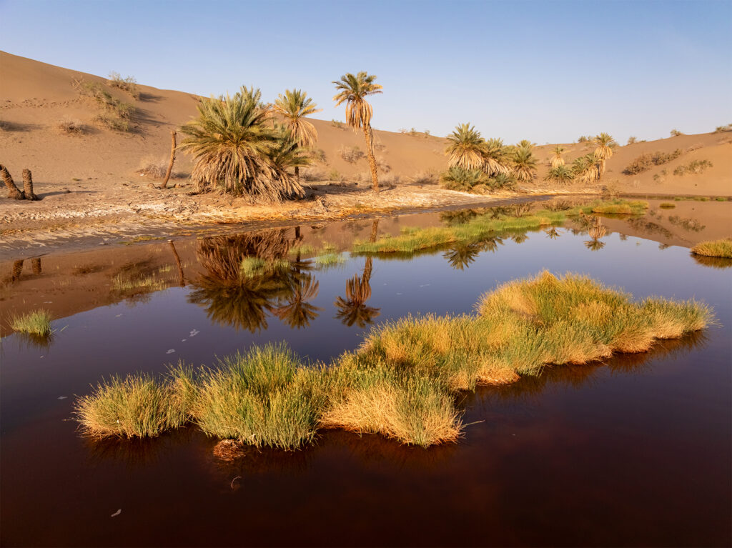 Red Lagoon