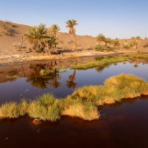Red Lagoon